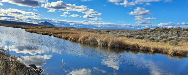 John Scharff Bird Festival Tours take one into closed portions of the refuge.