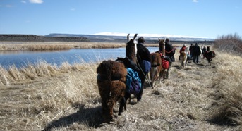 Steens Mountain is a beautiful backdrop for the Burns Llama Trailblazers Bird Festival Tours