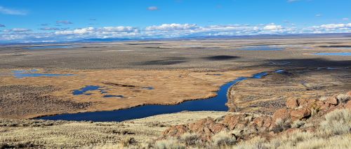 You will meet Burns Llama Trailblazers crias