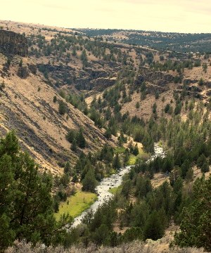 The Donner und Blitzen River canyon.