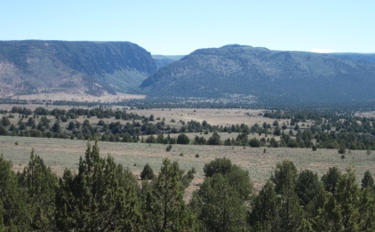 View east from Steens Loop Road toward Little Blitzen Gorge