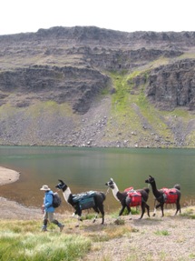 Ed and offspring packing at Wildhorse Lake on Steen's Mountain 